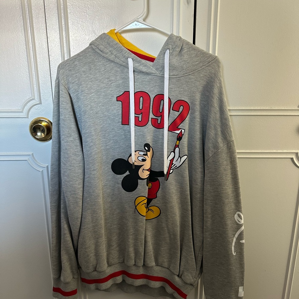 Gray Disneyland Paris 30th Anniversary Hoodie